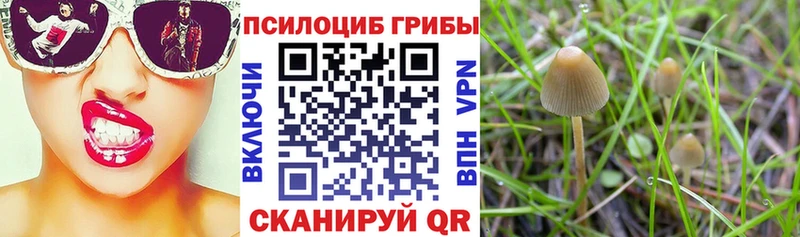 мориарти Telegram  Сусуман  Галлюциногенные грибы мицелий 